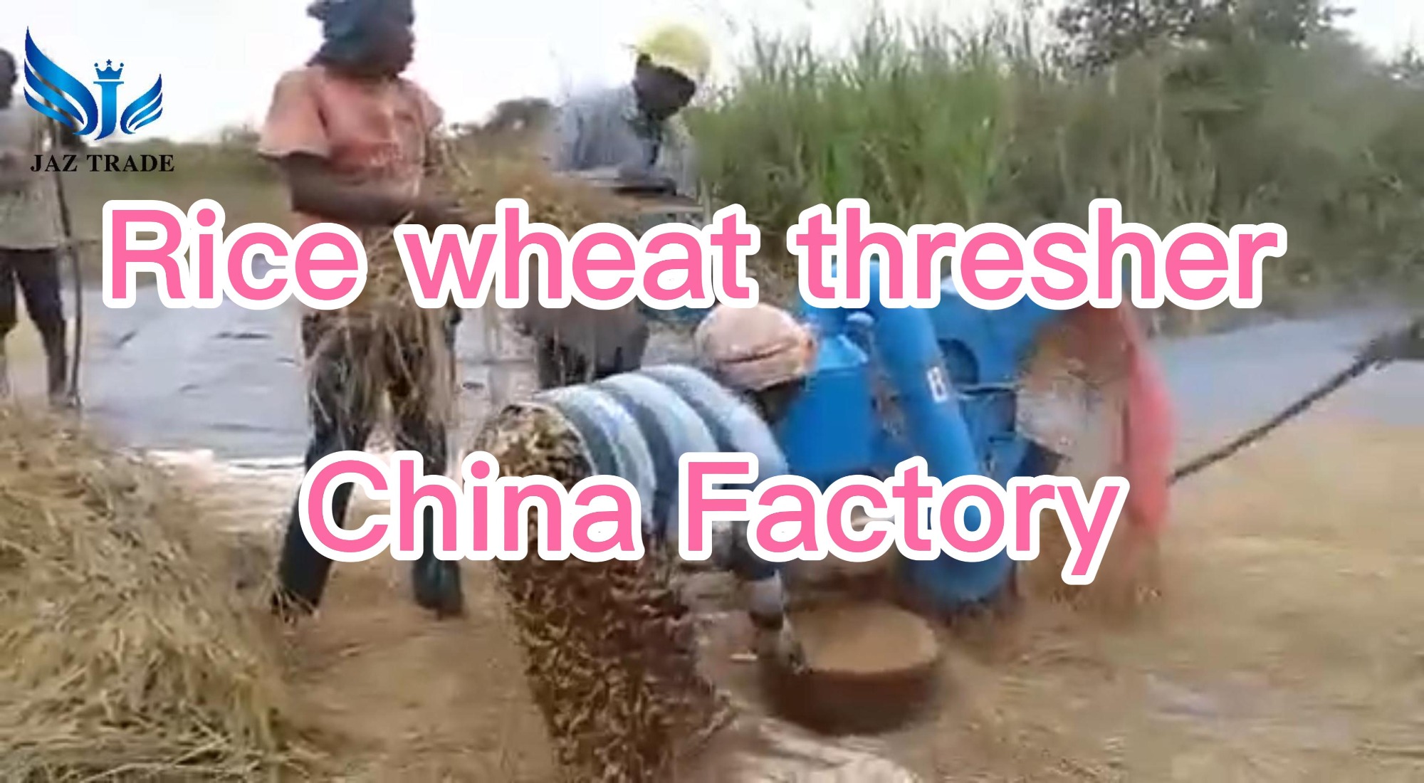 Farmer Best tool| Wheat thresher | Rice paddy thresher |How to thresh Wheat and Rice /Rice Threshing